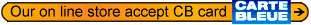 Online Store, payment by credit card, check, bank transfer